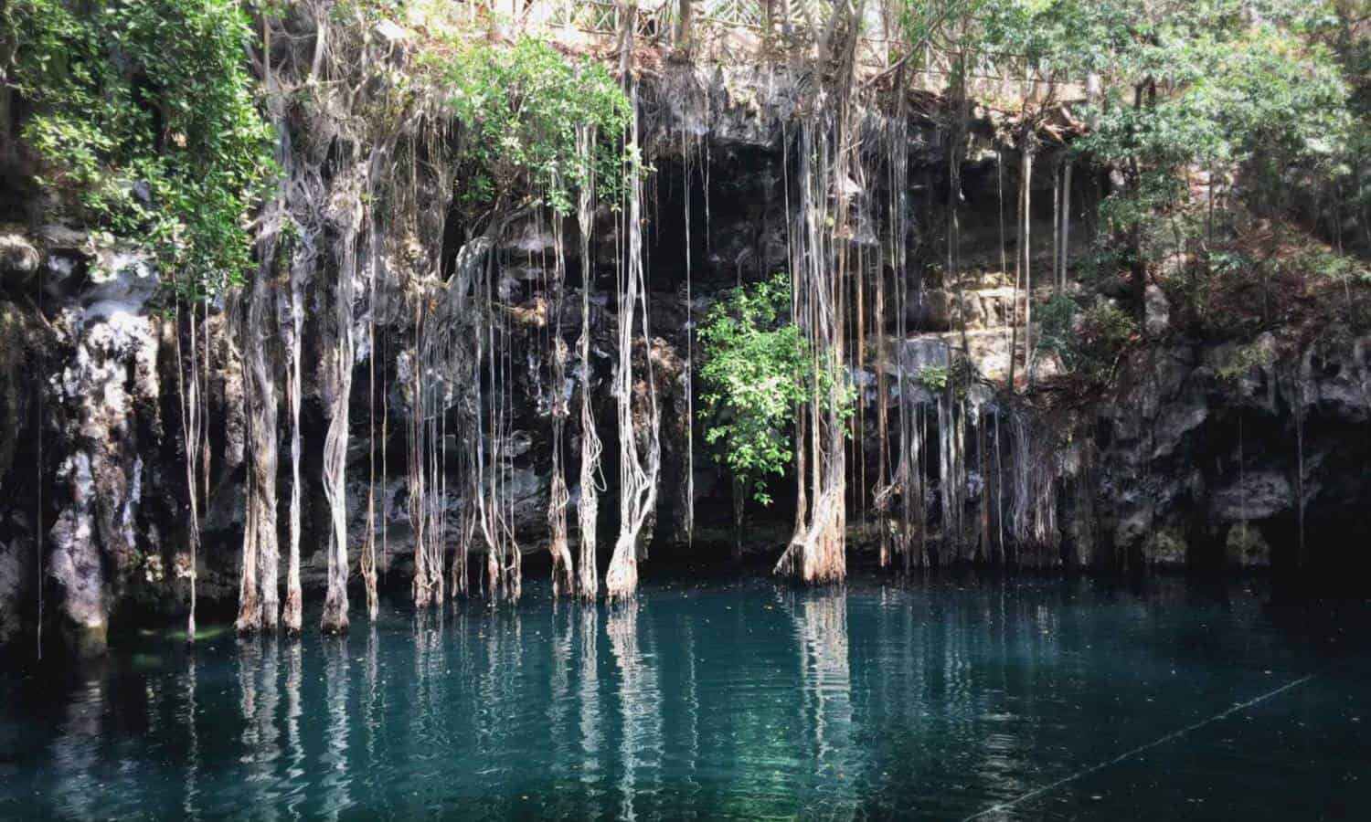 Day 7 - Leap of Faith