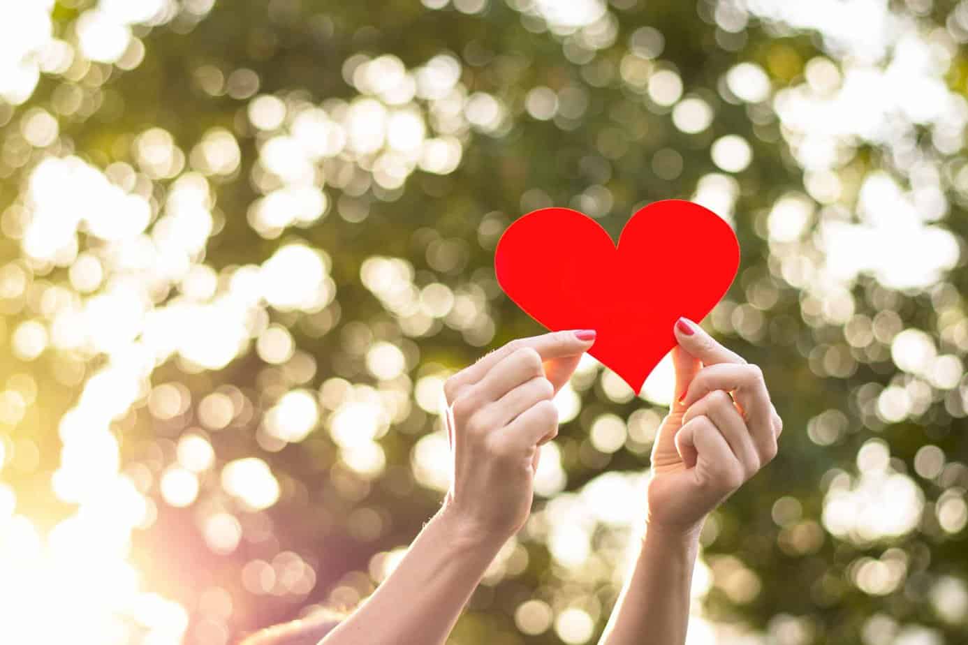 Beauty Within by Lauren