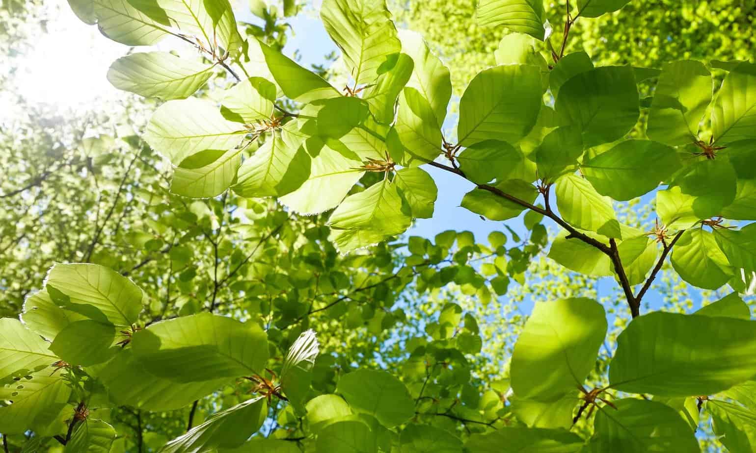 First Love by Kathleen