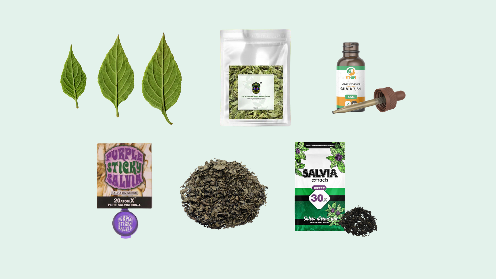 forms of salvia divinorum